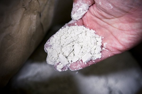 画像2:  そば粉人気No.1【地粉(ジゴナ)】国産最上級の石臼挽きそば粉<秋新入荷!> (2)